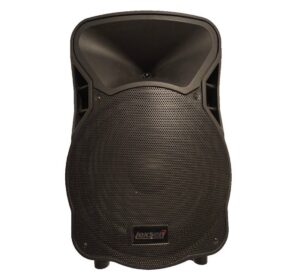 Bafles activos Lexsen X5